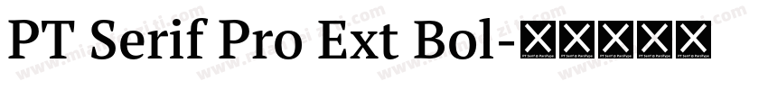 PT Serif Pro Ext Bol字体转换